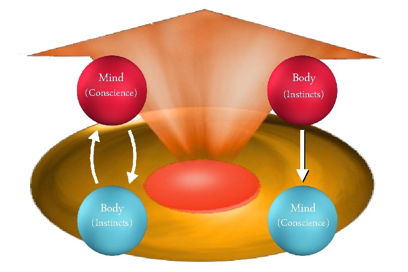 Good Character Bad Character Mind Body (Conscience) (Instincts) Body Mind (Instincts) (Conscience) © IEF