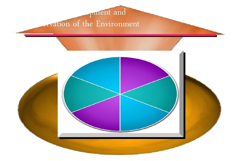 Sustainable Development and Conservation of the Environment © IEF 44 