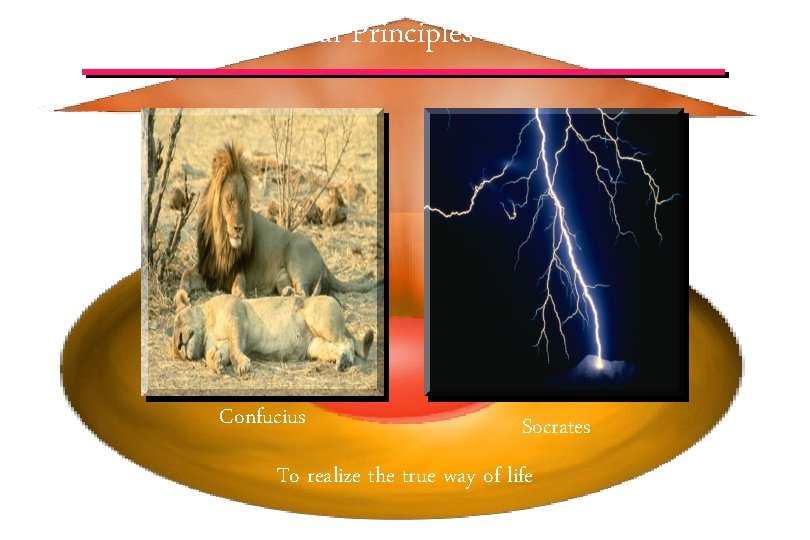 Search for Universal Principles Confucius Socrates To realize the true way of life ©