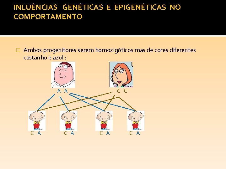 INLUÊNCIAS GENÉTICAS E EPIGENÉTICAS NO COMPORTAMENTO � Ambos progenitores serem homozigóticos mas de cores