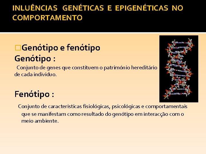 INLUÊNCIAS GENÉTICAS E EPIGENÉTICAS NO COMPORTAMENTO �Genótipo e fenótipo Genótipo : Conjunto de genes