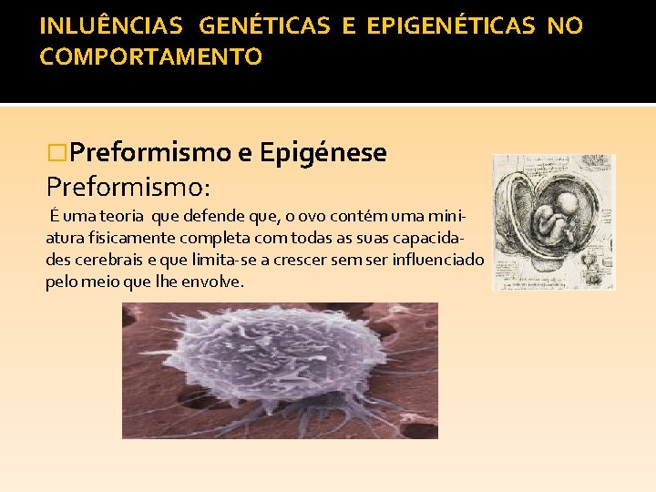 INLUÊNCIAS GENÉTICAS E EPIGENÉTICAS NO COMPORTAMENTO �Preformismo e Epigénese Preformismo: É uma teoria que