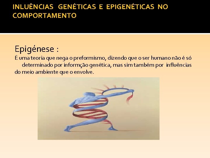 INLUÊNCIAS GENÉTICAS E EPIGENÉTICAS NO COMPORTAMENTO Epigénese : É uma teoria que nega o