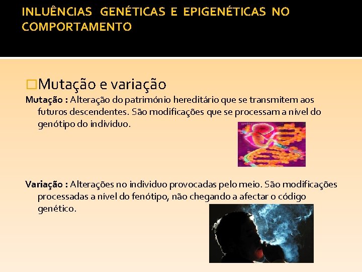 INLUÊNCIAS GENÉTICAS E EPIGENÉTICAS NO COMPORTAMENTO �Mutação e variação Mutação : Alteração do património