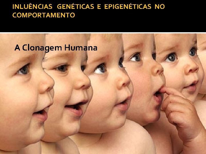 INLUÊNCIAS GENÉTICAS E EPIGENÉTICAS NO COMPORTAMENTO A Clonagem Humana 
