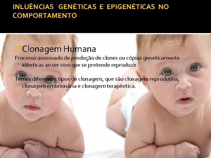 INLUÊNCIAS GENÉTICAS E EPIGENÉTICAS NO COMPORTAMENTO �Clonagem Humana Processo assexuado de produção de clones
