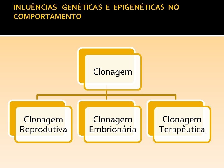 INLUÊNCIAS GENÉTICAS E EPIGENÉTICAS NO COMPORTAMENTO Clonagem Reprodutiva Clonagem Embrionária Clonagem Terapêutica 