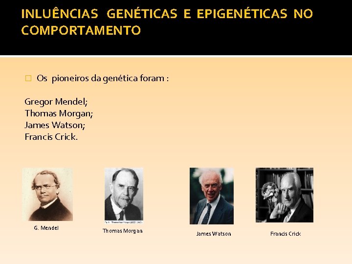 INLUÊNCIAS GENÉTICAS E EPIGENÉTICAS NO COMPORTAMENTO � Os pioneiros da genética foram : Gregor