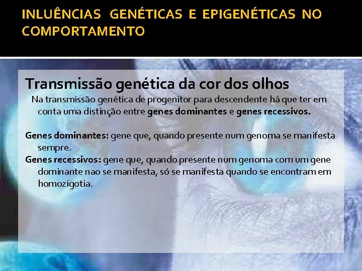 INLUÊNCIAS GENÉTICAS E EPIGENÉTICAS NO COMPORTAMENTO Transmissão genética da cor dos olhos Na transmissão