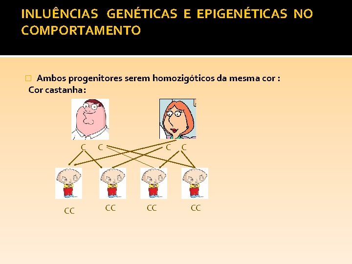 INLUÊNCIAS GENÉTICAS E EPIGENÉTICAS NO COMPORTAMENTO Ambos progenitores serem homozigóticos da mesma cor :