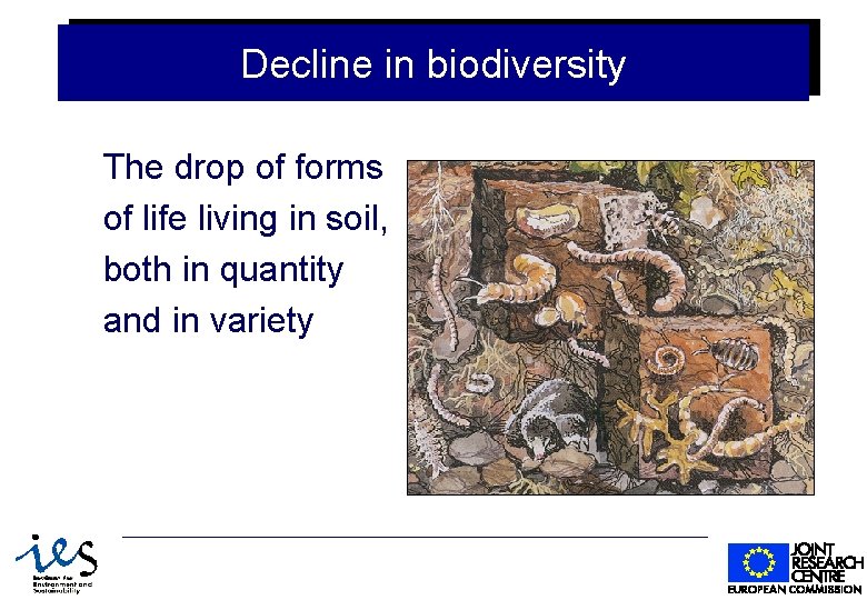 Decline in biodiversity The drop of forms of life living in soil, both in