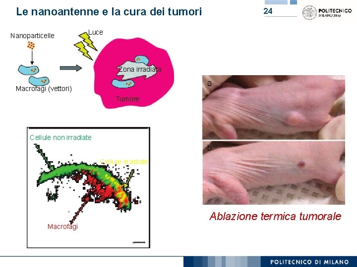 Le nanoantenne e la cura dei tumori Nanoparticelle 24 Luce Zona irradiata Macrofagi (vettori)