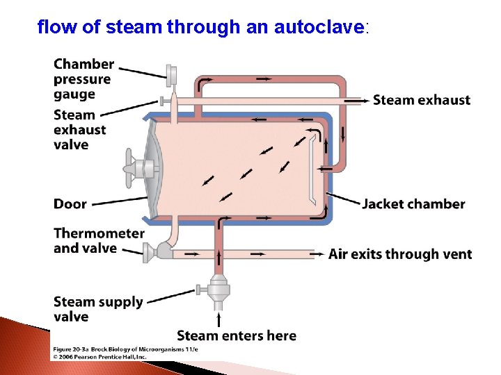 flow of steam through an autoclave: 