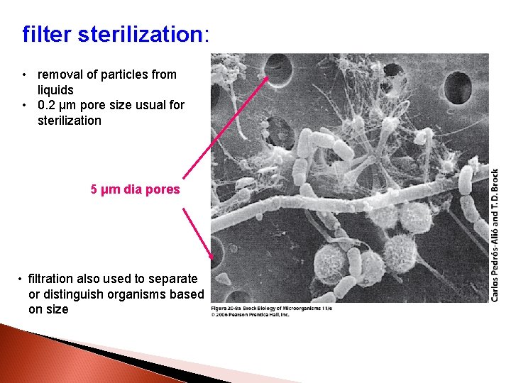 filter sterilization: • removal of particles from liquids • 0. 2 μm pore size