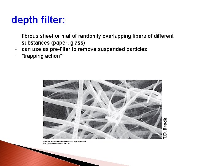 depth filter: • fibrous sheet or mat of randomly overlapping fibers of different substances