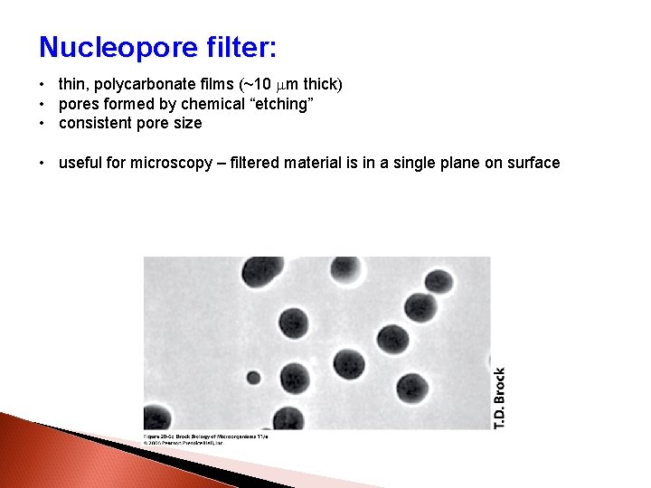 Nucleopore filter: • thin, polycarbonate films (~10 mm thick) • pores formed by chemical