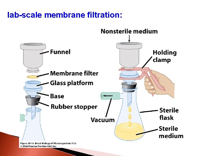 lab-scale membrane filtration: 