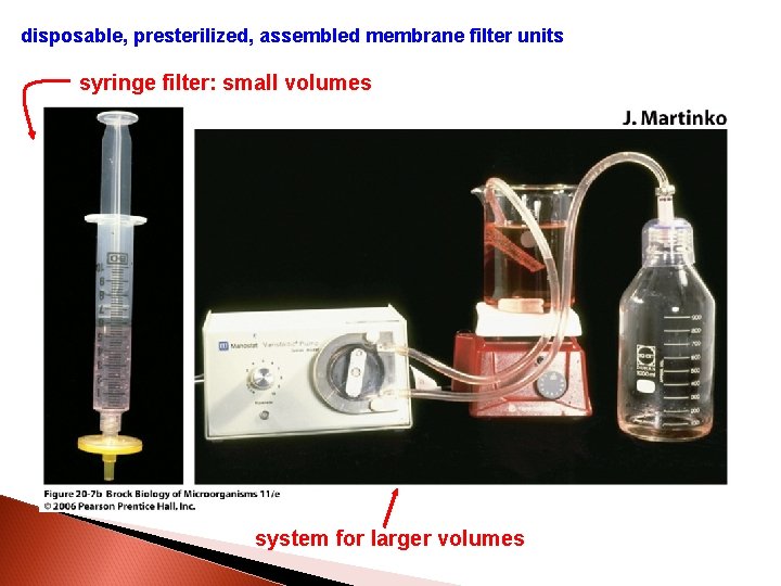 disposable, presterilized, assembled membrane filter units syringe filter: small volumes system for larger volumes