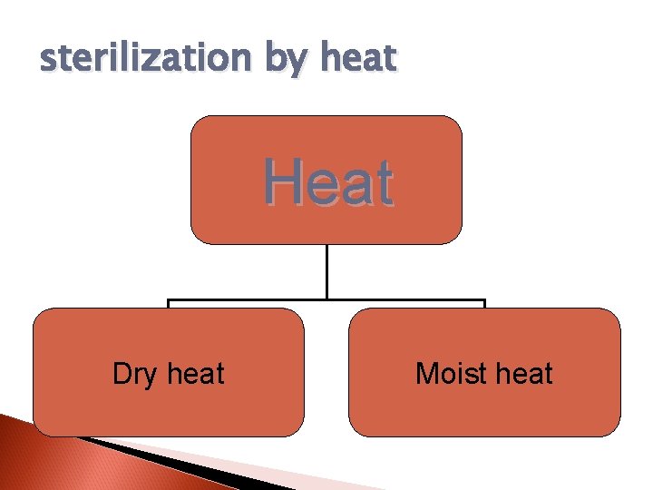 sterilization by heat Heat Dry heat Moist heat 