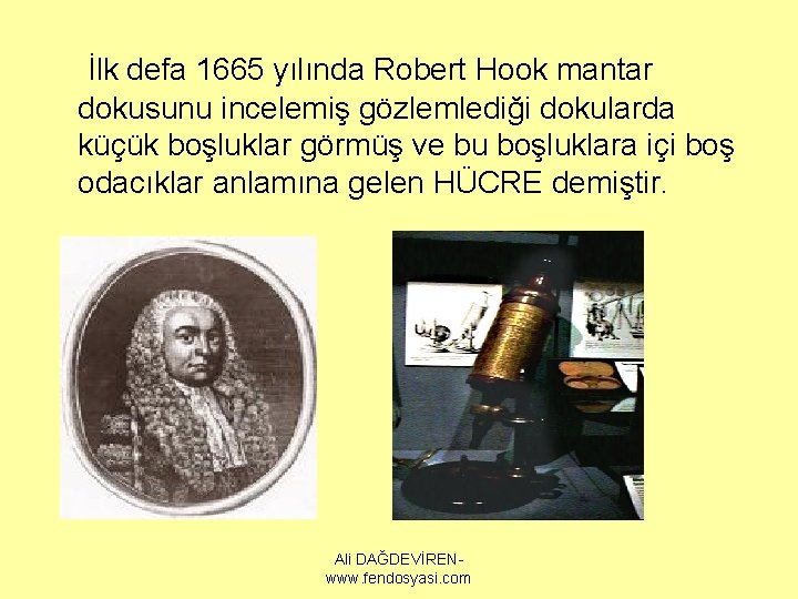 İlk defa 1665 yılında Robert Hook mantar dokusunu incelemiş gözlemlediği dokularda küçük boşluklar görmüş