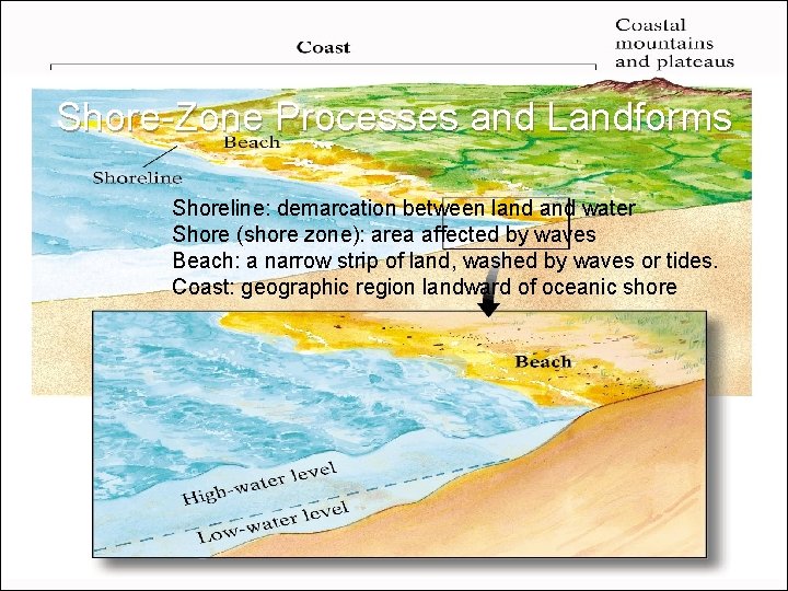 Shore-Zone Processes and Landforms Shoreline: demarcation between land water Shore (shore zone): area affected