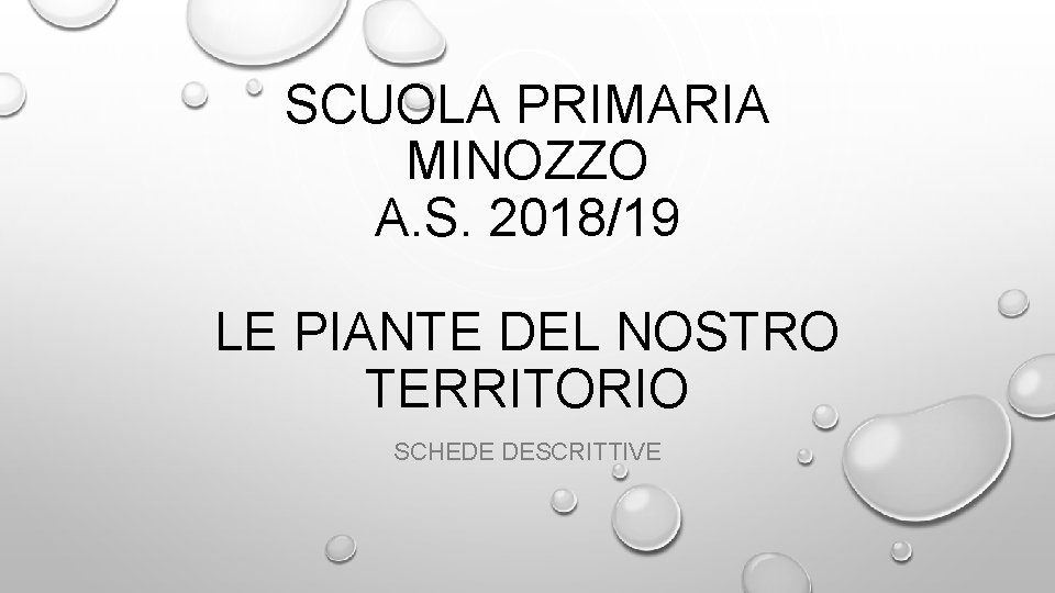 SCUOLA PRIMARIA MINOZZO A. S. 2018/19 LE PIANTE DEL NOSTRO TERRITORIO SCHEDE DESCRITTIVE 
