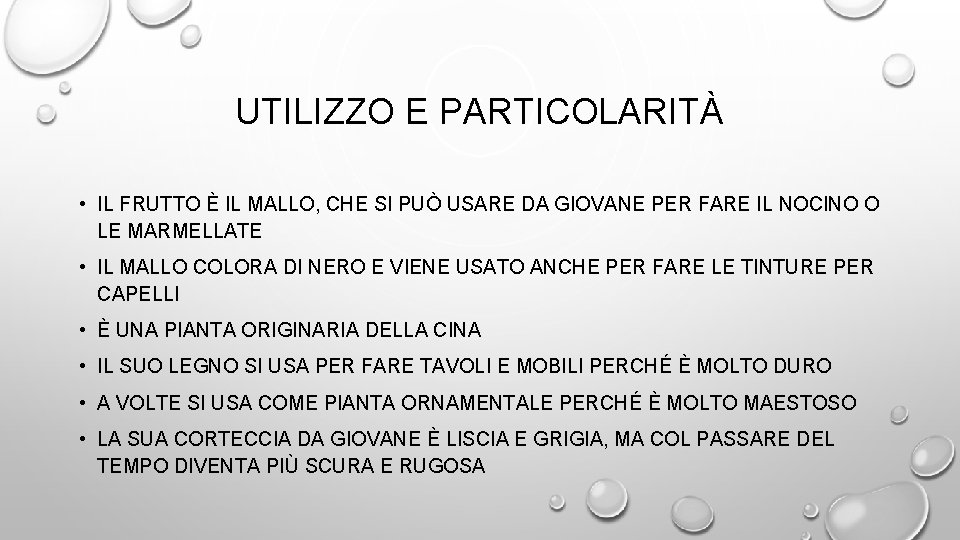 UTILIZZO E PARTICOLARITÀ • IL FRUTTO È IL MALLO, CHE SI PUÒ USARE DA