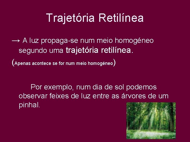 Trajetória Retilínea → A luz propaga-se num meio homogéneo segundo uma trajetória retilínea. (Apenas