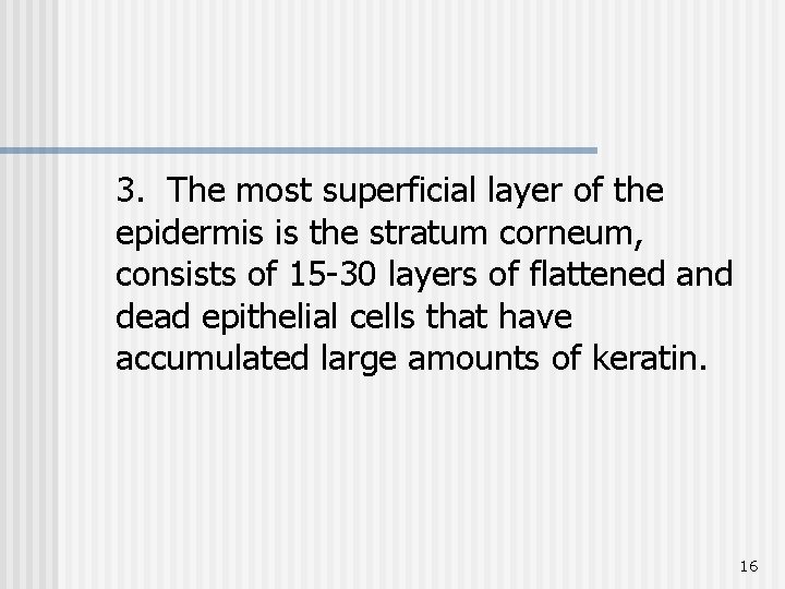 3. The most superficial layer of the epidermis is the stratum corneum, consists of