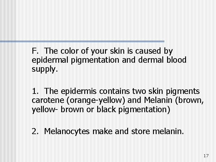 F. The color of your skin is caused by epidermal pigmentation and dermal blood