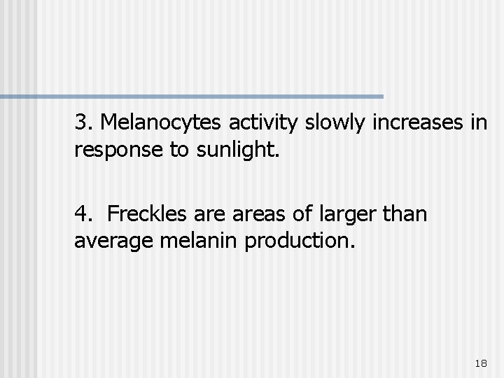 3. Melanocytes activity slowly increases in response to sunlight. 4. Freckles areas of larger