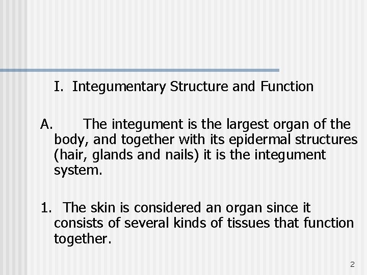 I. Integumentary Structure and Function A. The integument is the largest organ of the