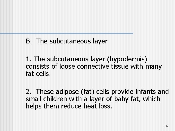 B. The subcutaneous layer 1. The subcutaneous layer (hypodermis) consists of loose connective tissue