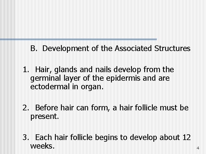 B. Development of the Associated Structures 1. Hair, glands and nails develop from the