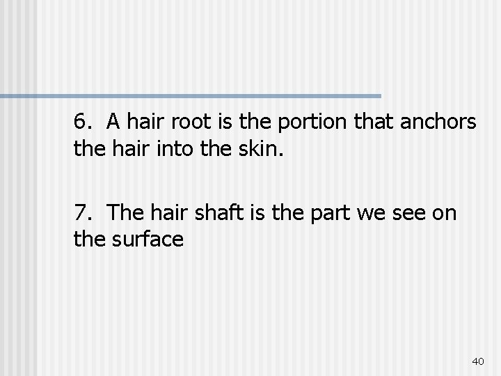 6. A hair root is the portion that anchors the hair into the skin.