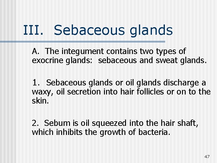 III. Sebaceous glands A. The integument contains two types of exocrine glands: sebaceous and