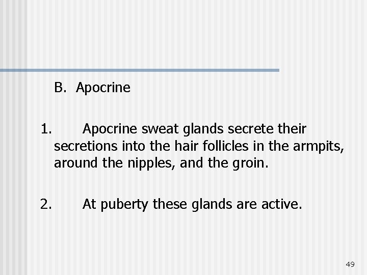 B. Apocrine 1. 2. Apocrine sweat glands secrete their secretions into the hair follicles