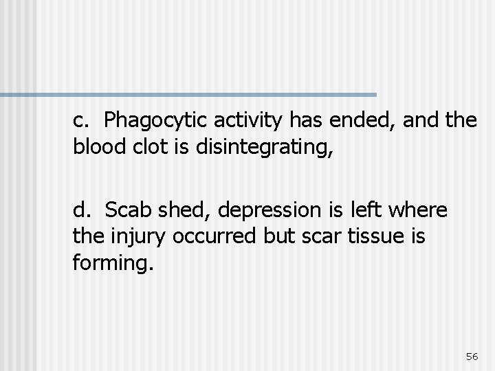 c. Phagocytic activity has ended, and the blood clot is disintegrating, d. Scab shed,