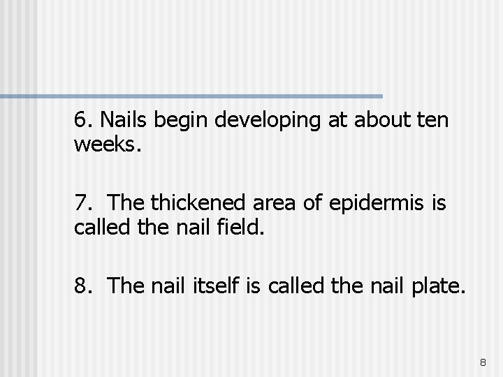 6. Nails begin developing at about ten weeks. 7. The thickened area of epidermis
