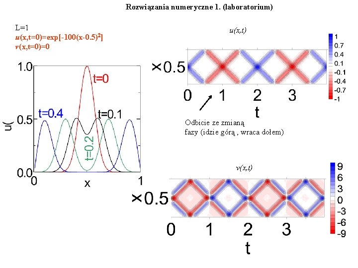 Rozwiązania numeryczne 1. (laboratorium) L=1 u(x, t=0)=exp[-100(x-0. 5)2] v(x, t=0)=0 u(x, t) Odbicie ze