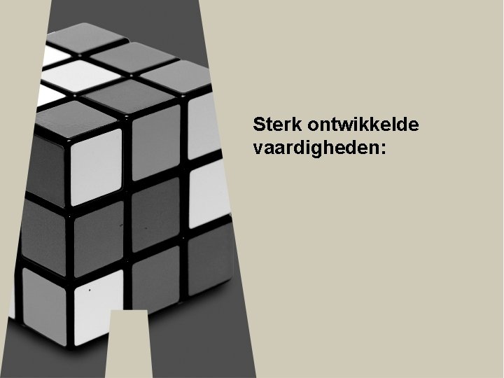 Sterk ontwikkelde vaardigheden: 