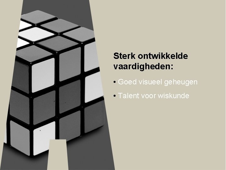 Sterk ontwikkelde vaardigheden: • Goed visueel geheugen • Talent voor wiskunde 