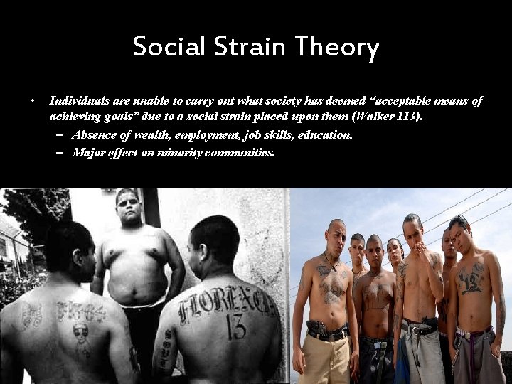 Social Strain Theory • Individuals are unable to carry out what society has deemed