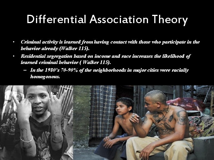 Differential Association Theory • • Criminal activity is learned from having contact with those