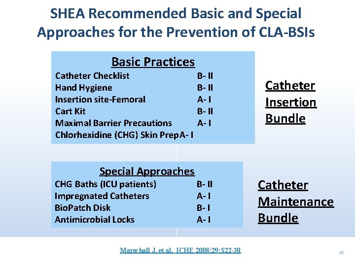 SHEA Recommended Basic and Special Approaches for the Prevention of CLA-BSIs Basic Practices Catheter