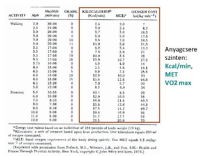 Anyagcsere szinten: Kcal/min, MET VO 2 max 