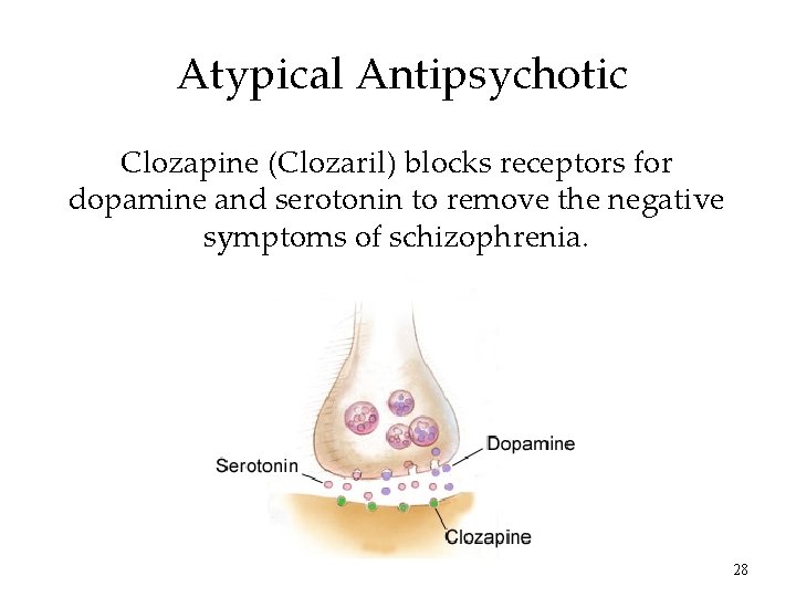 Atypical Antipsychotic Clozapine (Clozaril) blocks receptors for dopamine and serotonin to remove the negative