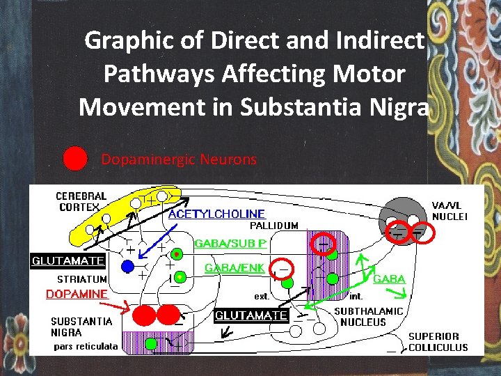 Graphic of Direct and Indirect Pathways Affecting Motor Movement in Substantia Nigra Dopaminergic Neurons