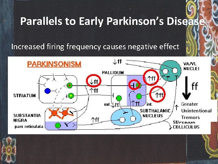 Parallels to Early Parkinson’s Disease Increased firing frequency causes negative effect ff Greater Unintentional