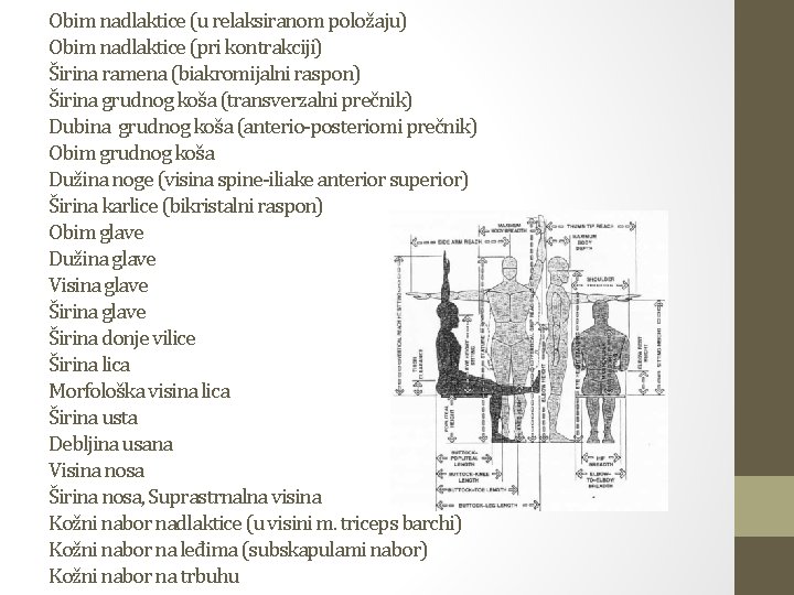 Obim nadlaktice (u relaksiranom položaju) Obim nadlaktice (pri kontrakciji) Širina ramena (biakromijalni raspon) Širina